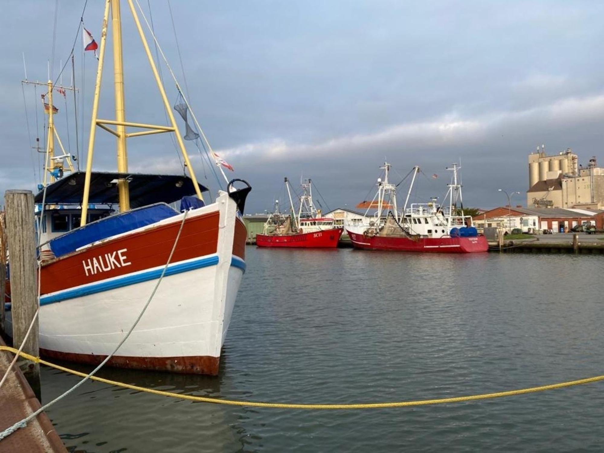 FeWo Flip Flop Leuchtturm Büsum Exterior foto